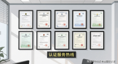 并结壮地建立起一个实正无效运转的管