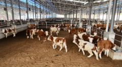 <b>用精准施策织密平易近生</b>